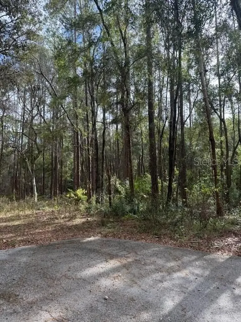 1074 W Legion Court Hernando FL 34442