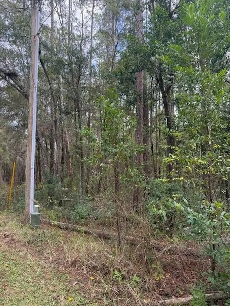 1074 W Legion Court Hernando FL 34442