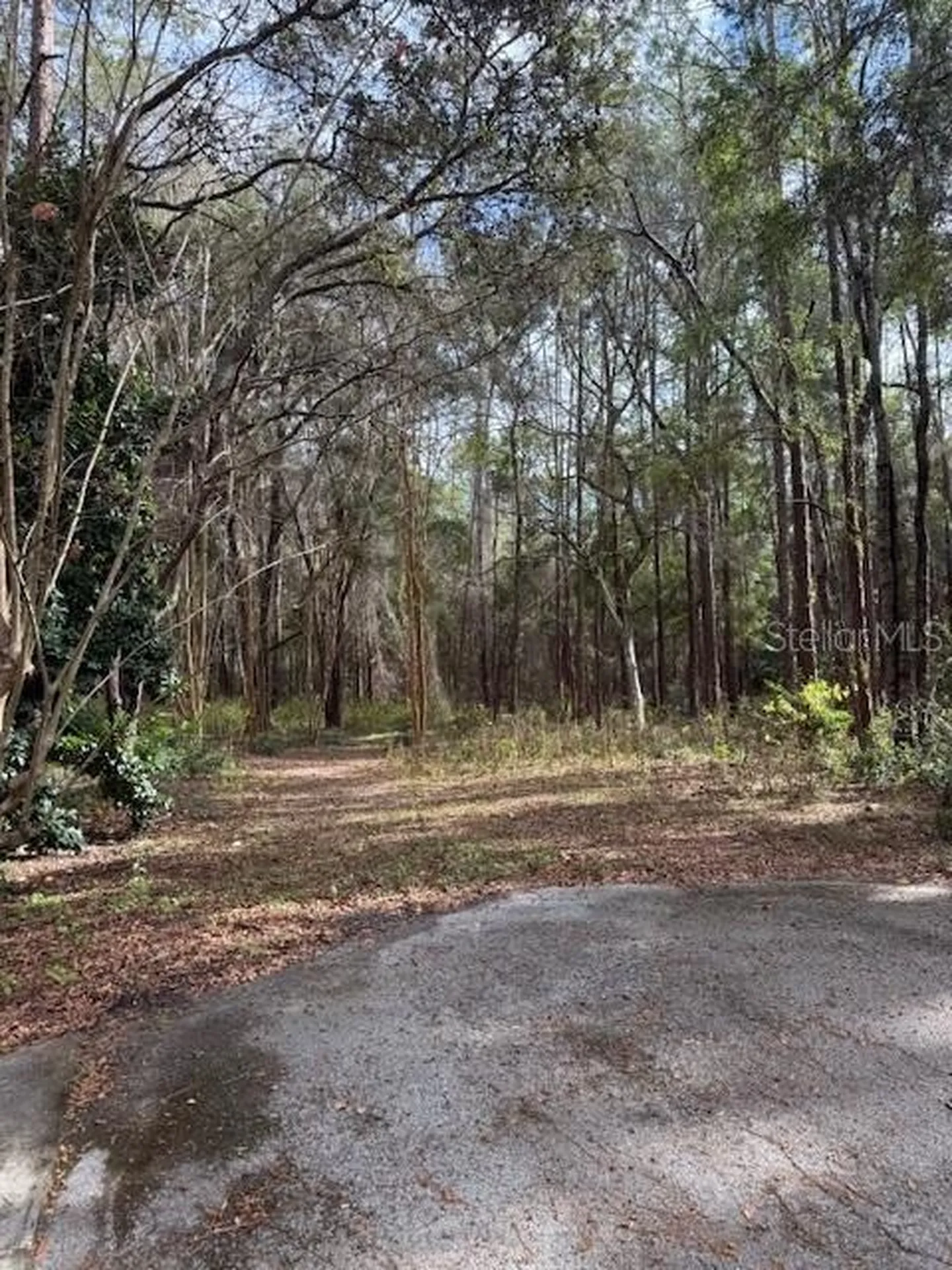 1074 W Legion Court Hernando FL 34442