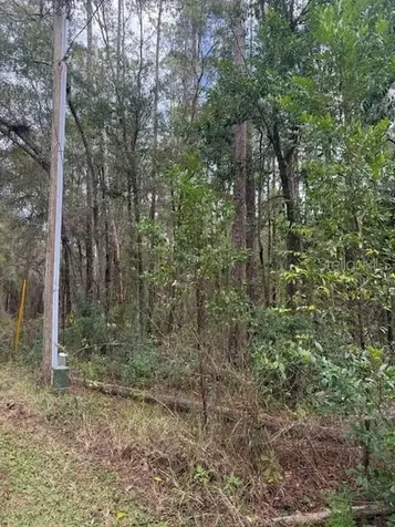 1074 W Legion Court Hernando FL 34442