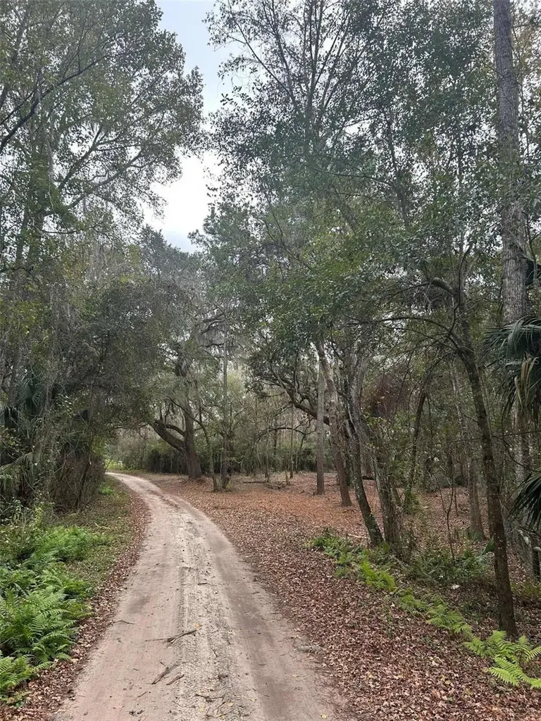 173 She She Road Hawthorne FL 32640