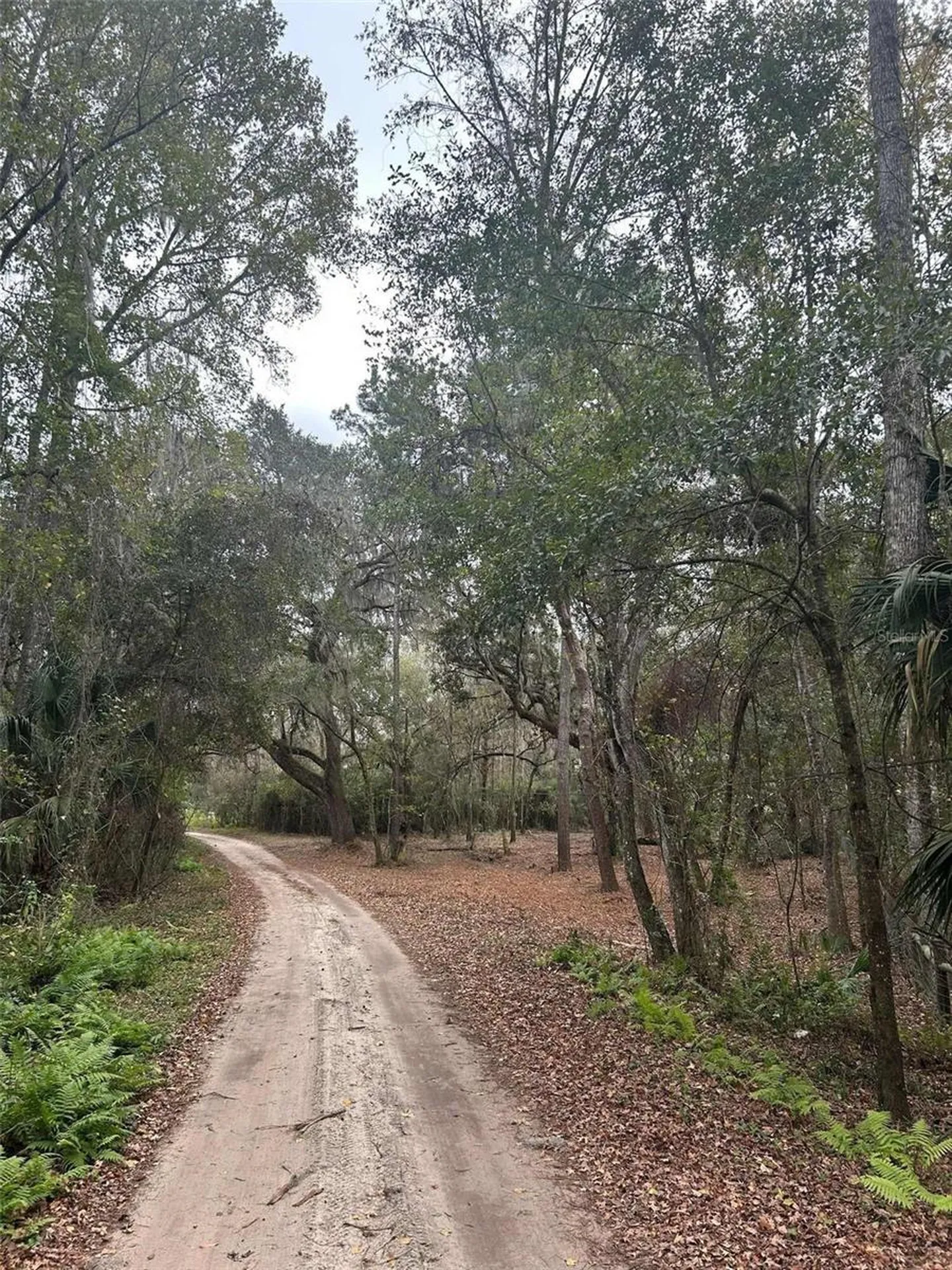 173 She She Road Hawthorne FL 32640