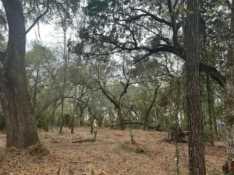 173 She She Road Hawthorne FL 32640
