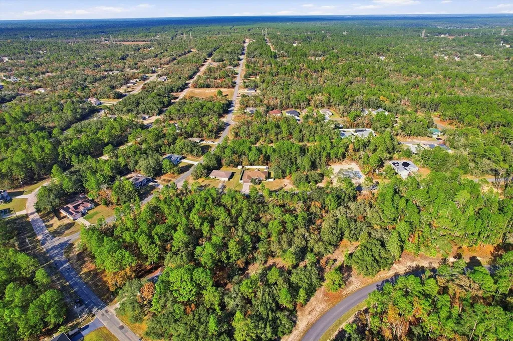 1021 W Champlain Lane Citrus Springs FL 34434
