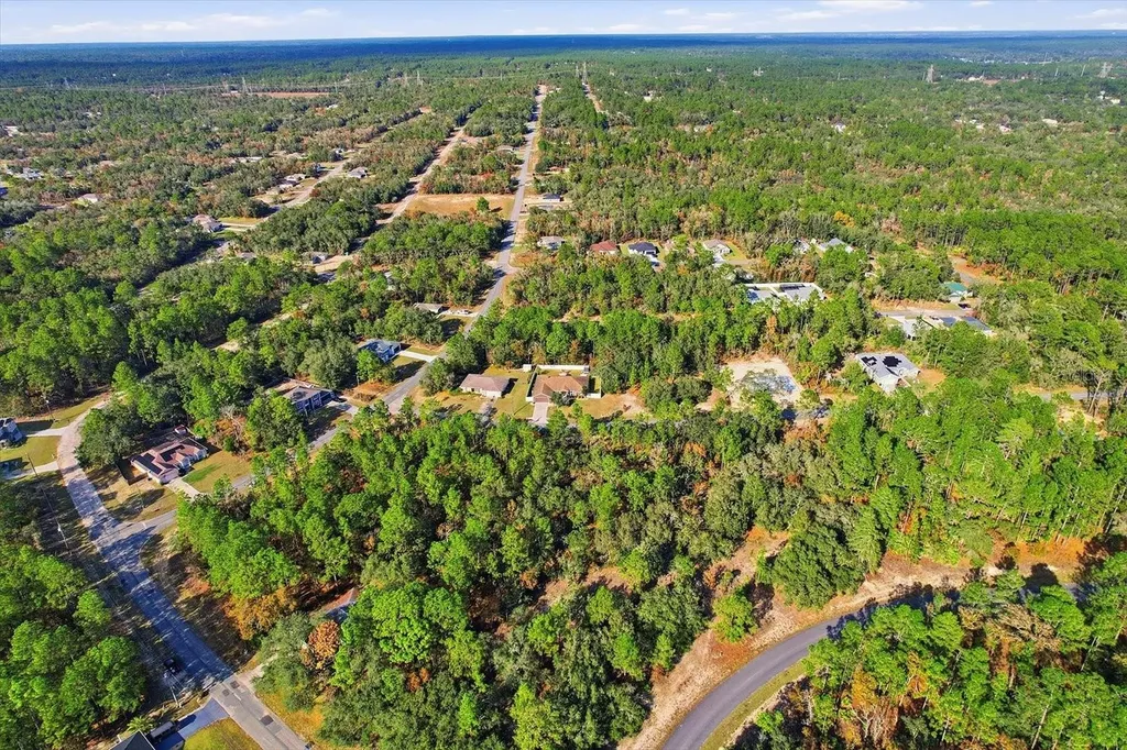 1021 W Champlain Lane Citrus Springs FL 34434