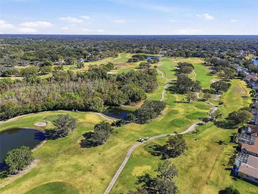 1512 Crooked Stick Drive Valrico FL 33596