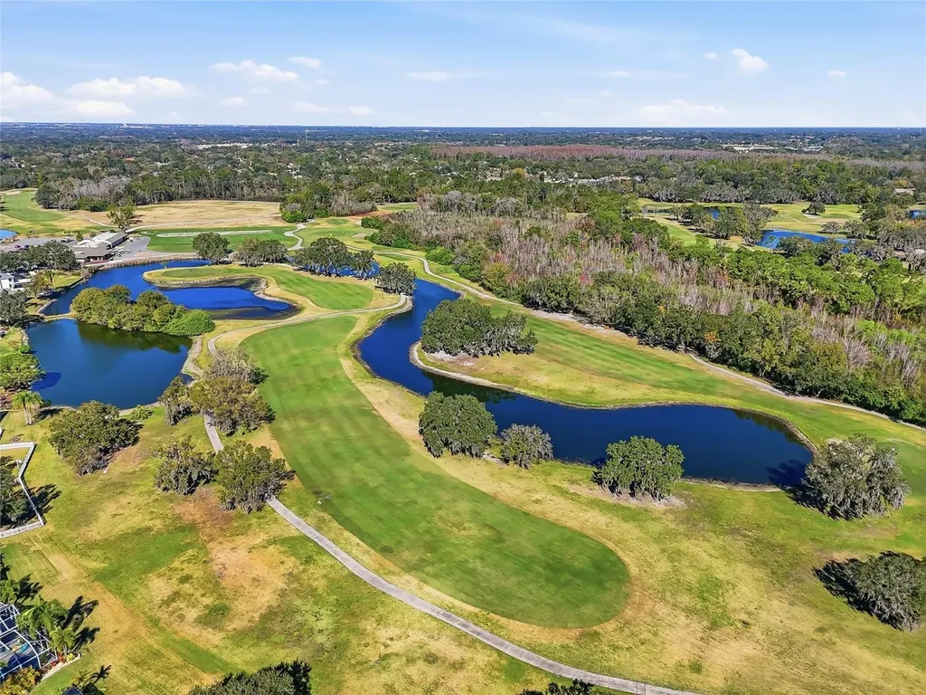 1512 Crooked Stick Drive Valrico FL 33596