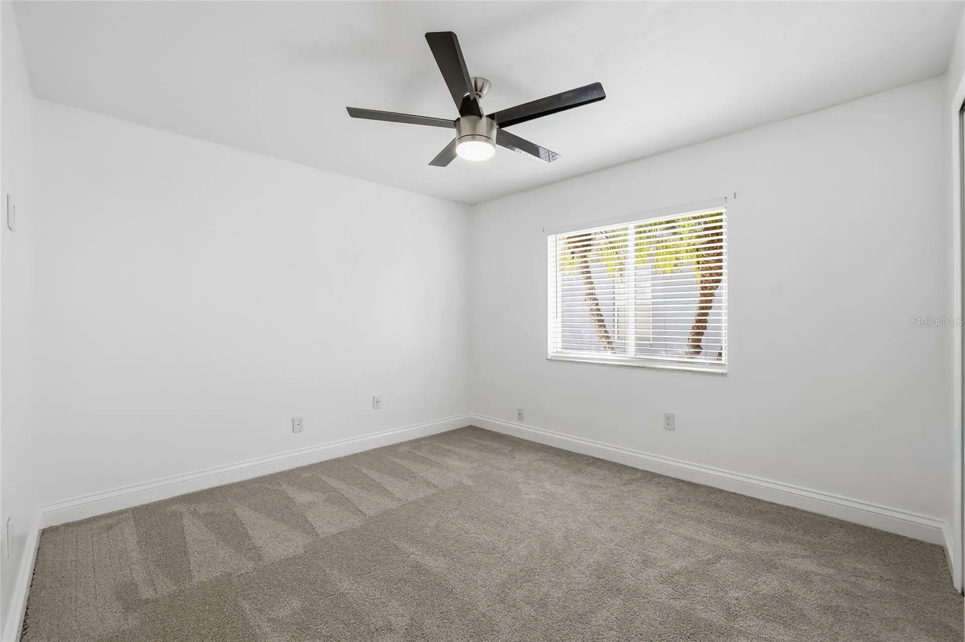 1512 Crooked Stick Drive Valrico FL 33596