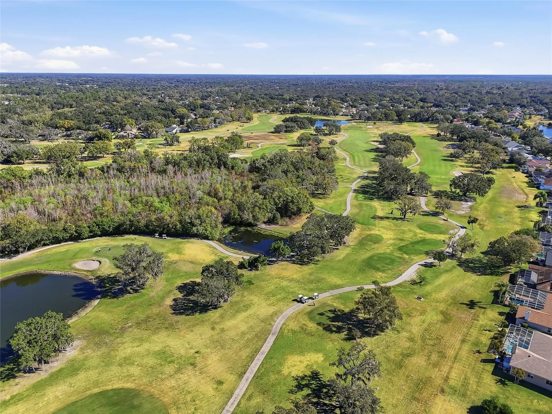 1512 Crooked Stick Drive Valrico FL 33596