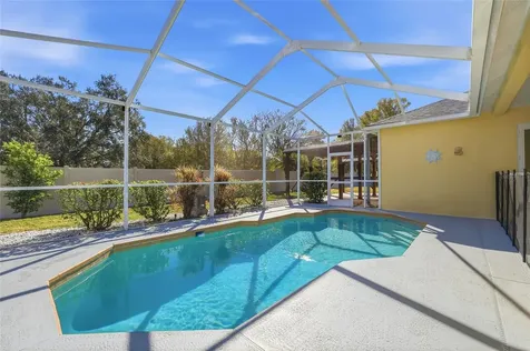 1512 Crooked Stick Drive Valrico FL 33596