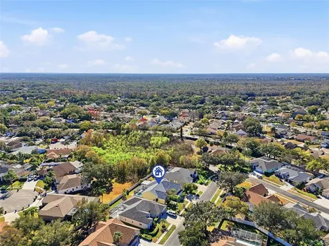 1512 Crooked Stick Drive Valrico FL 33596