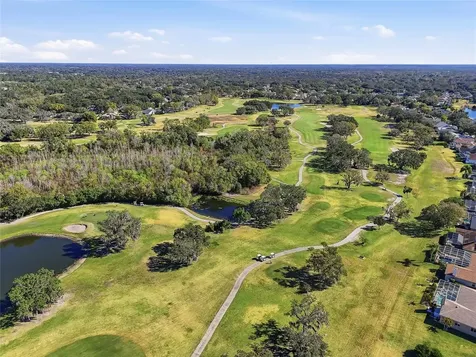 1512 Crooked Stick Drive Valrico FL 33596