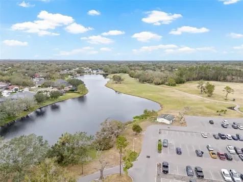 1512 Crooked Stick Drive Valrico FL 33596