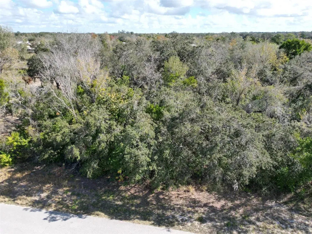 3930 Rolling Hills Court W Lake Wales FL 33898