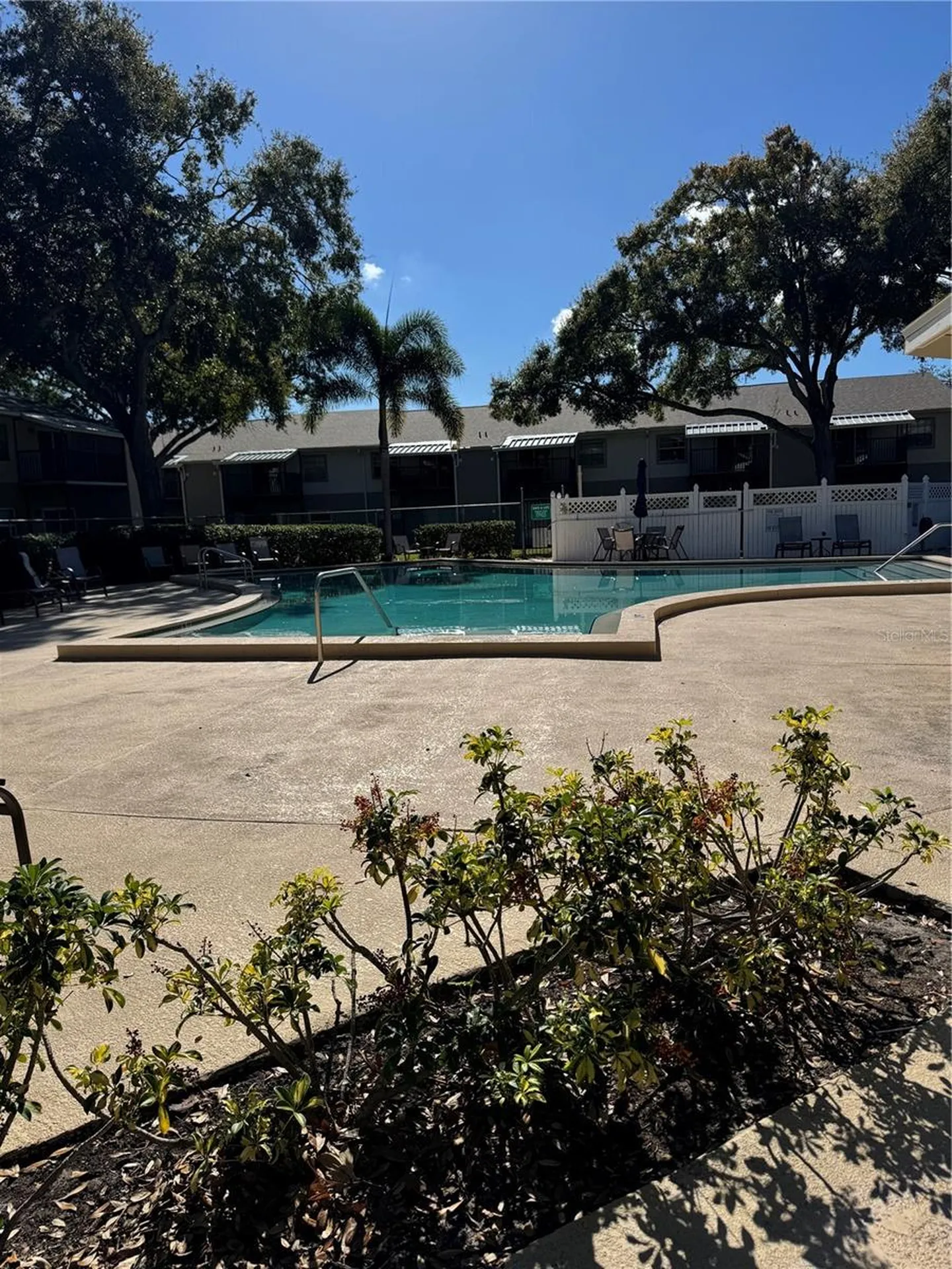 4506 S Oak Drive Tampa FL 33611