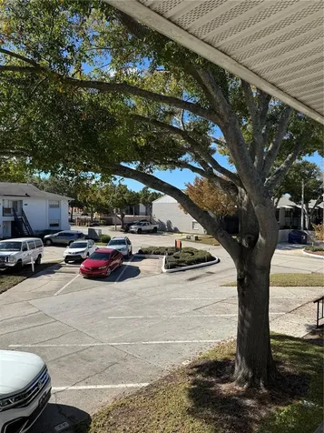 4506 S Oak Drive Tampa FL 33611