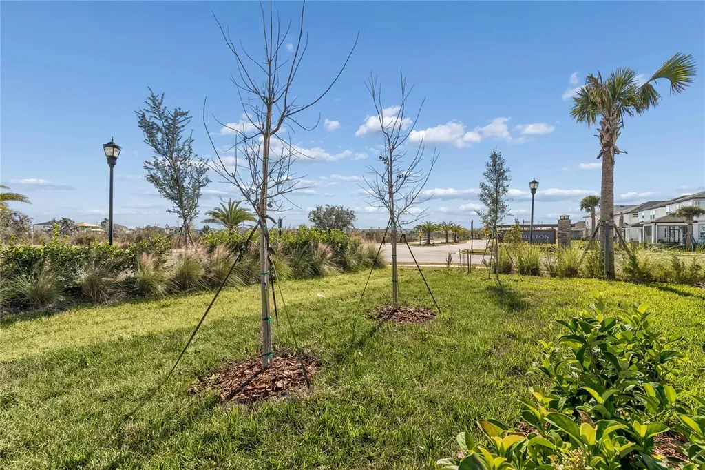 5648 Spivey Court Wesley Chapel FL 33545