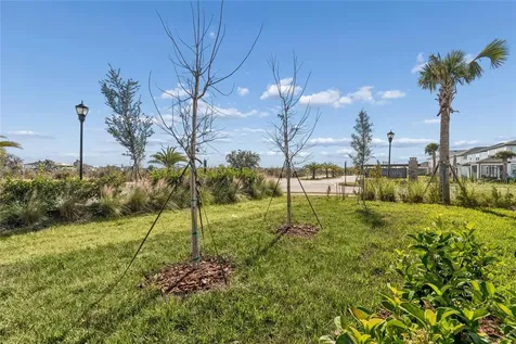 5648 Spivey Court Wesley Chapel FL 33545