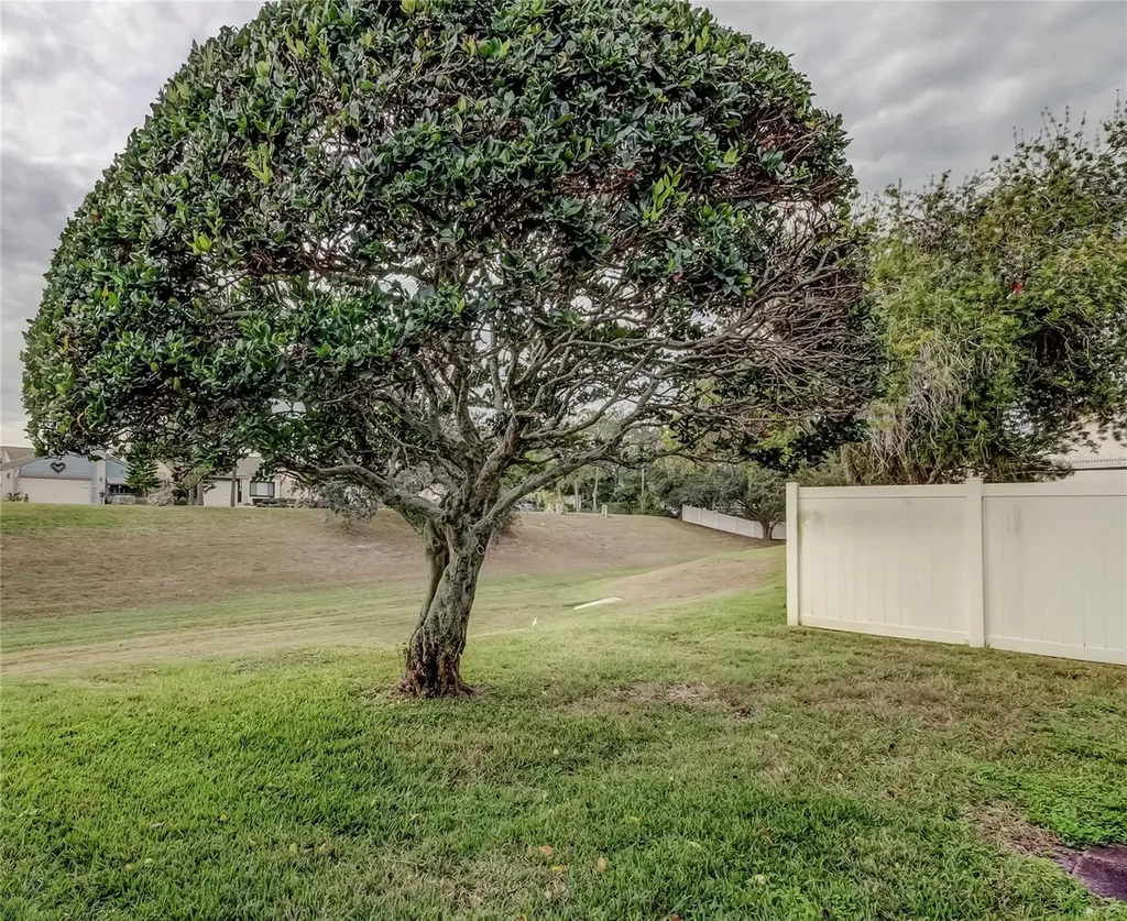 7522 Mediterranean Court Hudson FL 34667
