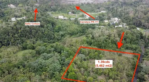 Bo. Cidral Pr-450 San Sebastian PR 00685