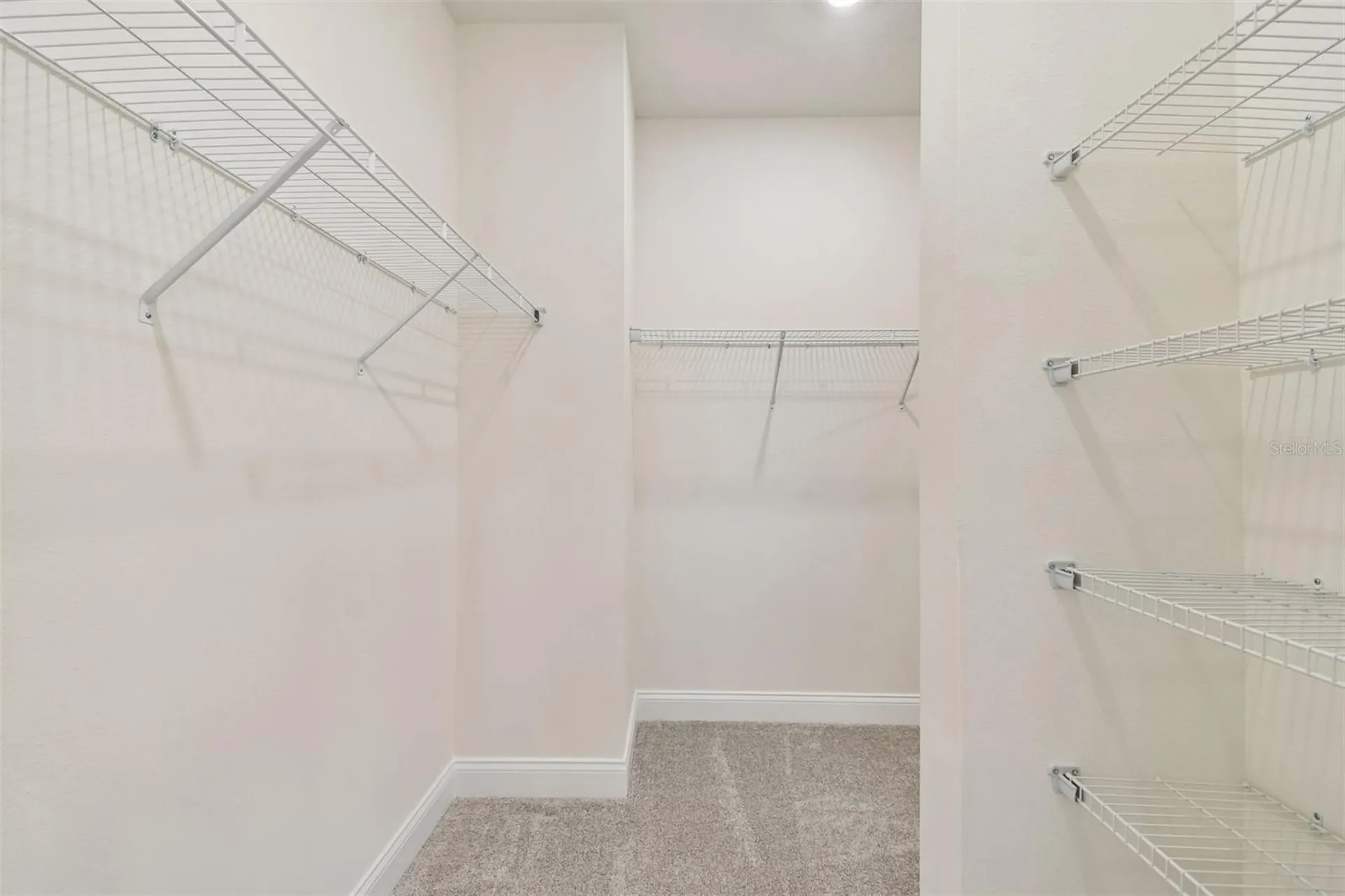 6056 Sacred Oak Avenue Mount Dora FL 32757