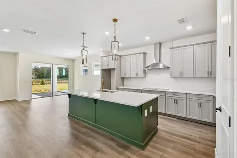 6056 Sacred Oak Avenue Mount Dora FL 32757