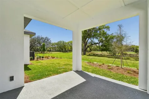 6056 Sacred Oak Avenue Mount Dora FL 32757