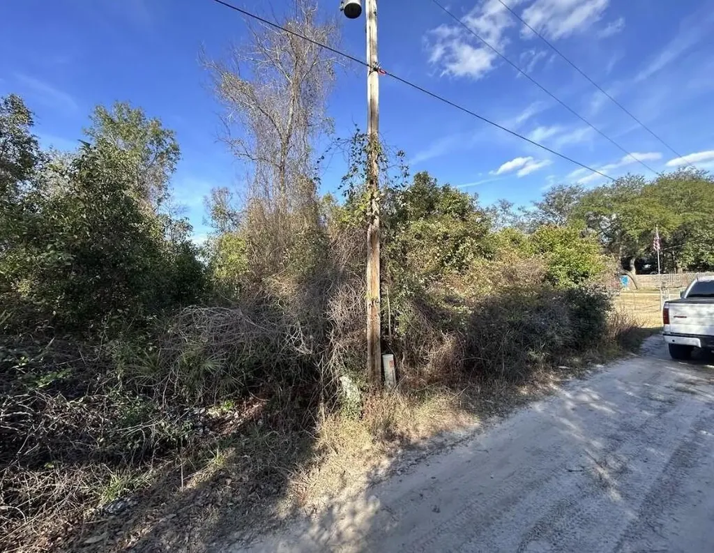 0 SE 141st Place Umatilla FL 32784