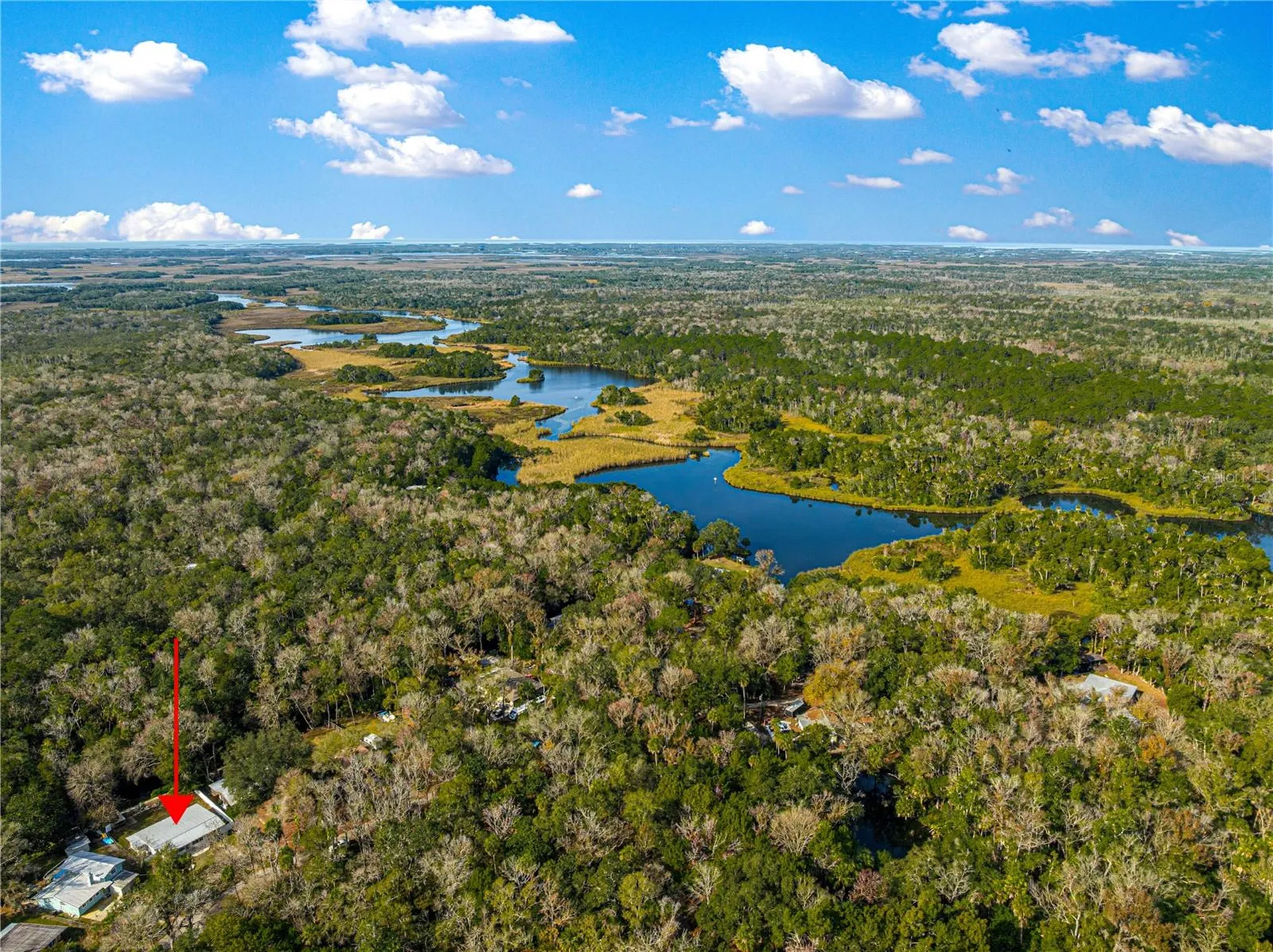 8944 W White Dogwood Drive Homosassa FL 34448