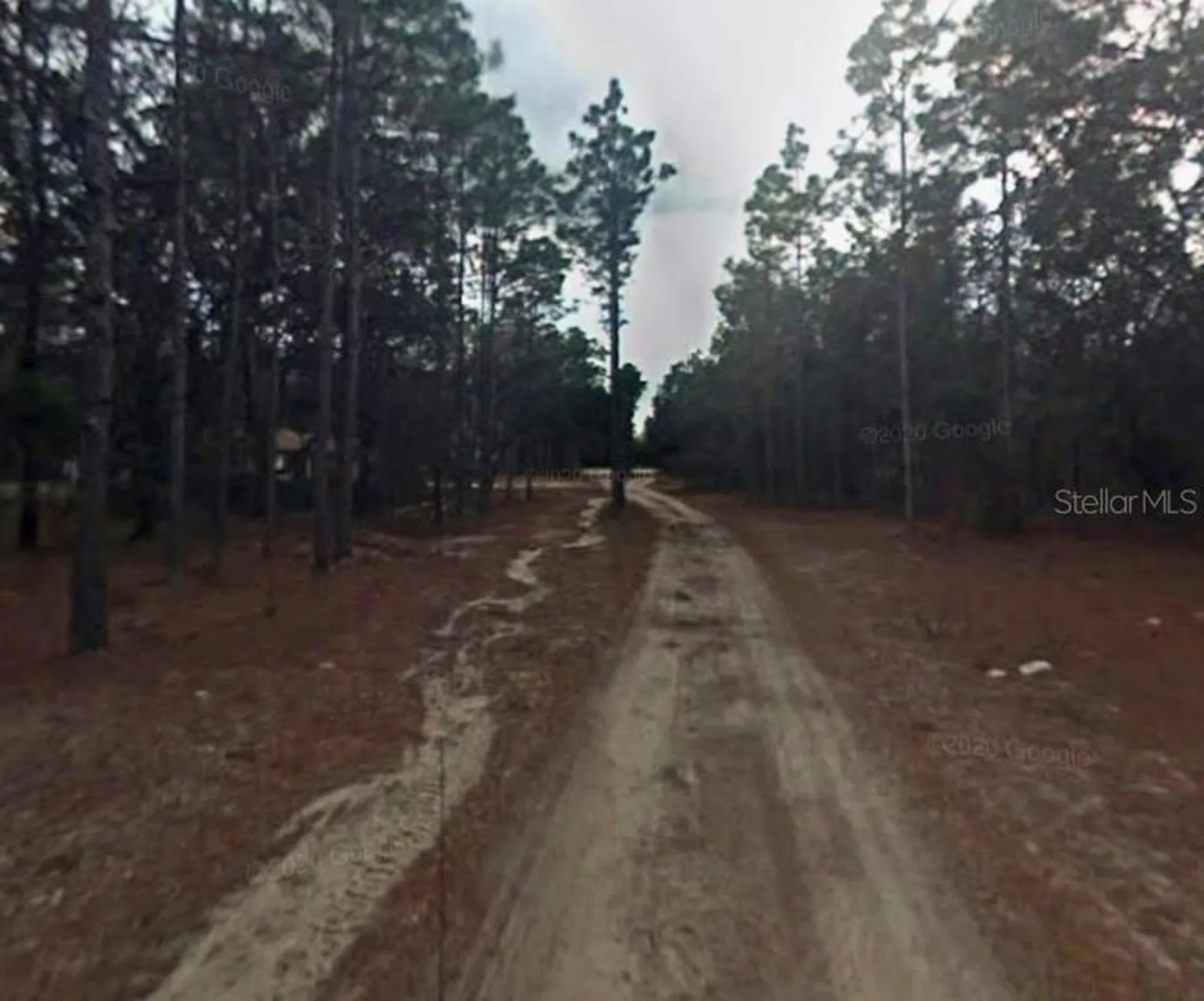 3858 S Osprey Point Inverness FL 34450