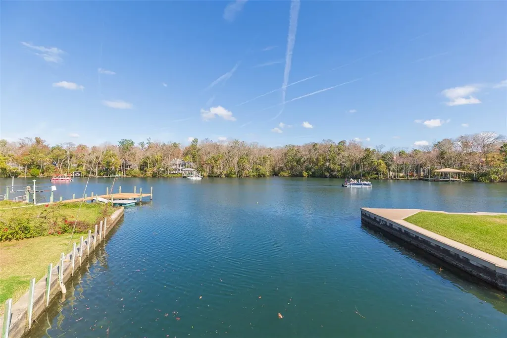 4235 S Purslane Drive Homosassa FL 34448