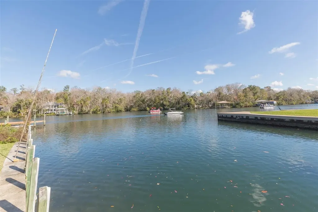 4235 S Purslane Drive Homosassa FL 34448