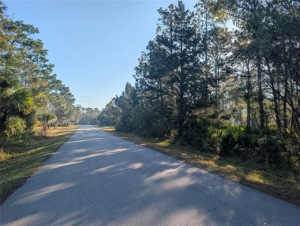 W Rosedale Drive Homosassa FL 34448
