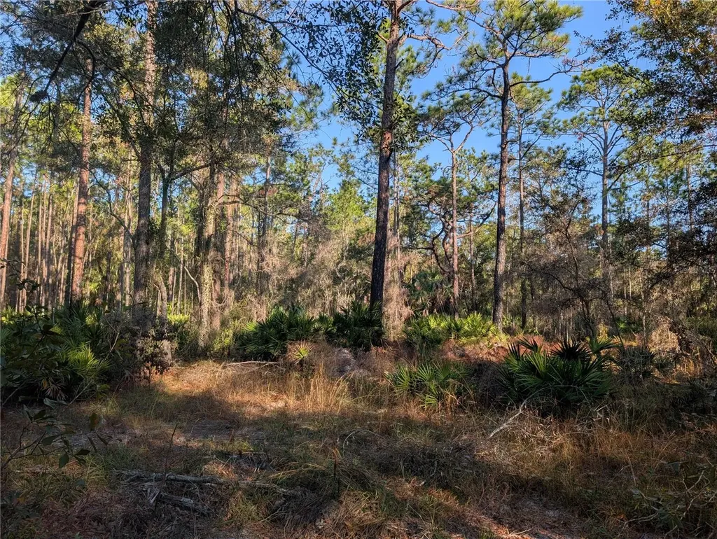 W Rosedale Drive Homosassa FL 34448