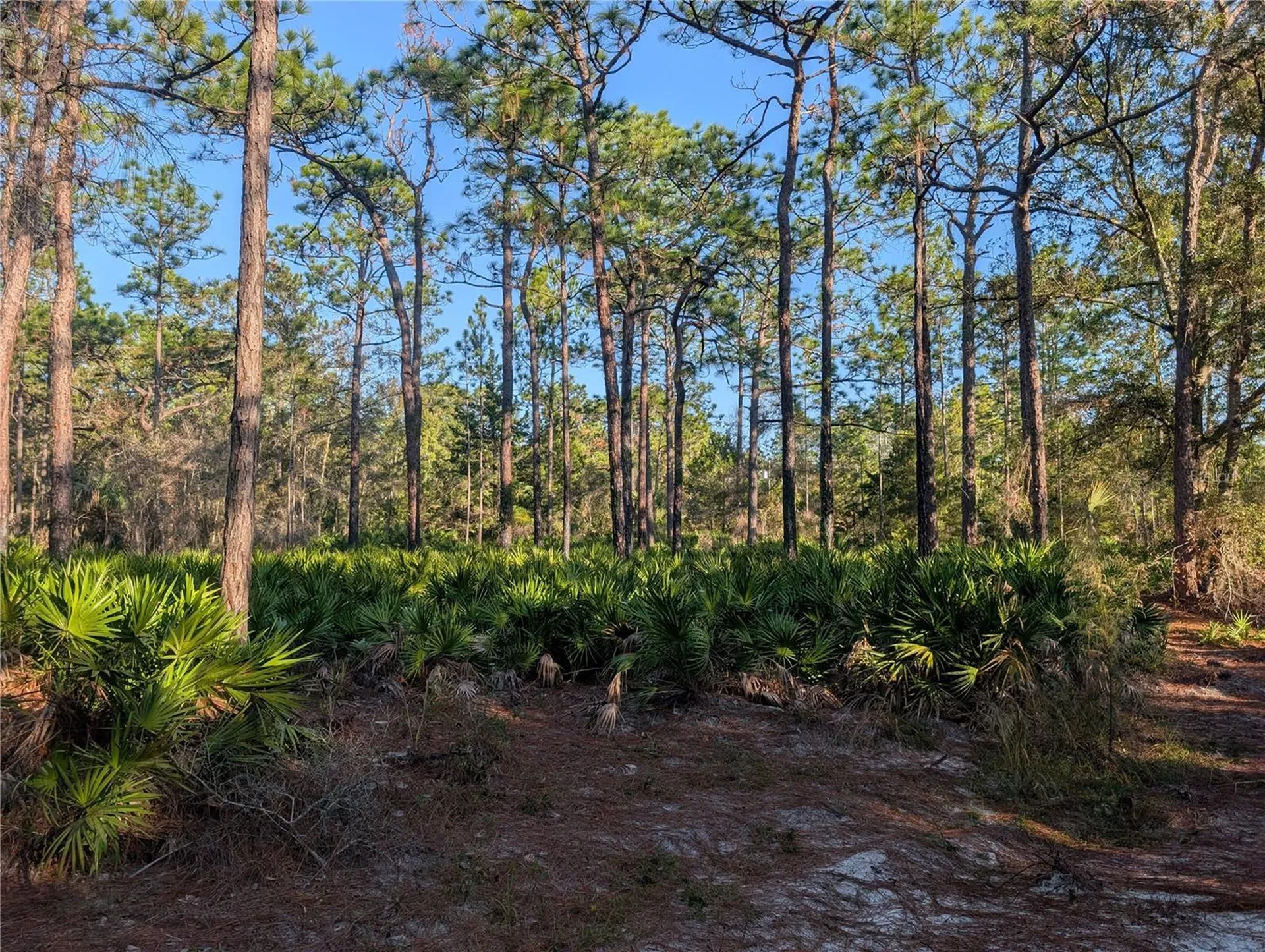W Rosedale Drive Homosassa FL 34448