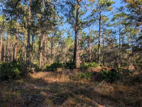 W Rosedale Drive Homosassa FL 34448