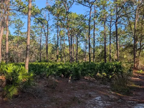 W Rosedale Drive Homosassa FL 34448