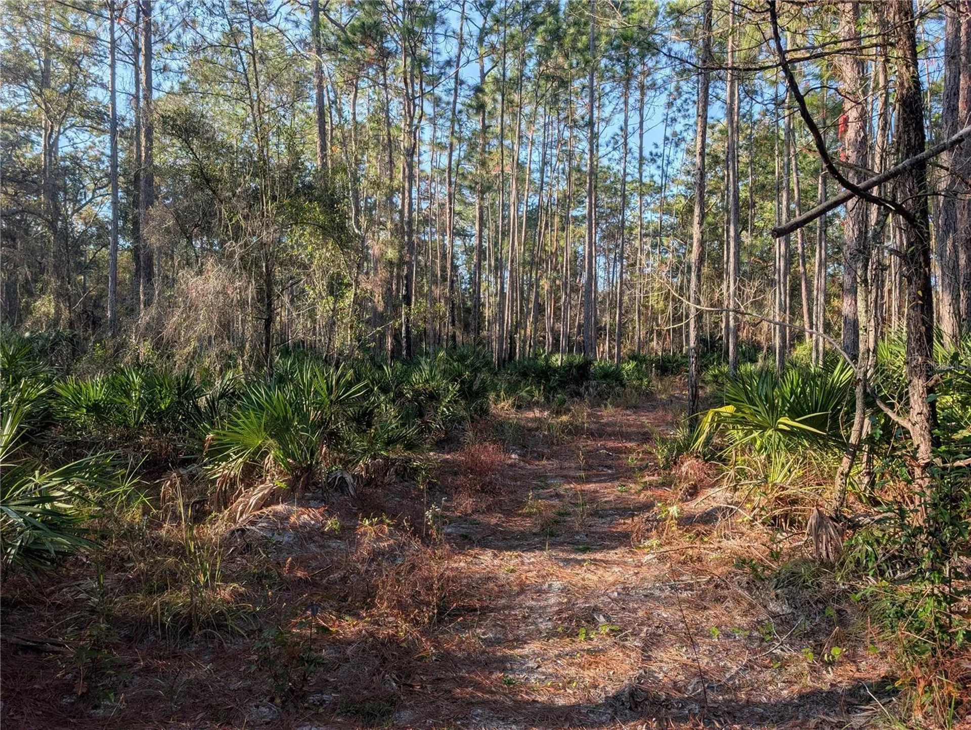 W Rosedale Drive Homosassa FL 34448