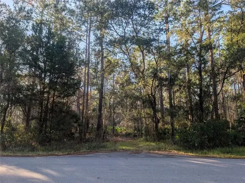 W Rosedale Drive Homosassa FL 34448