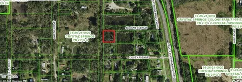 Partrigde Boulevard Zephyrhills FL 33540
