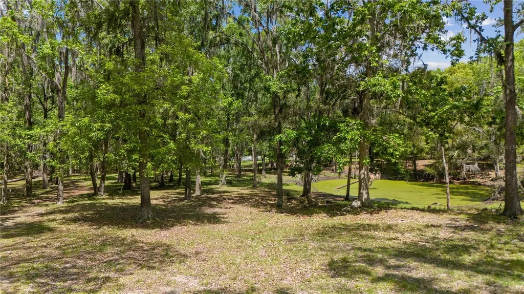 12345 Citrus Way Brooksville FL 34601