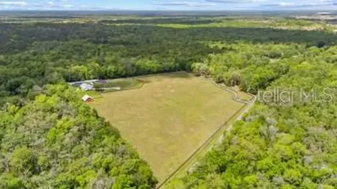 12345 Citrus Way Brooksville FL 34601