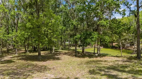 12345 Citrus Way Brooksville FL 34601