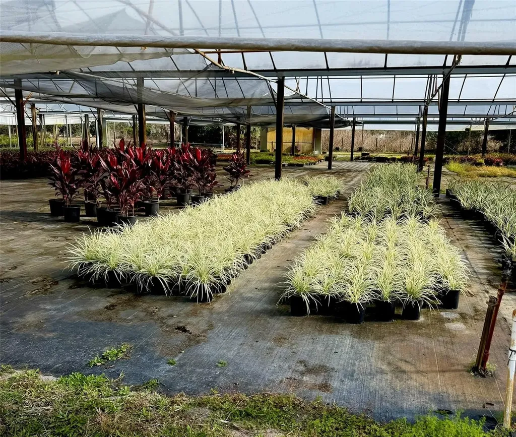 23010 Wolf Branch Road Sorrento FL 32776