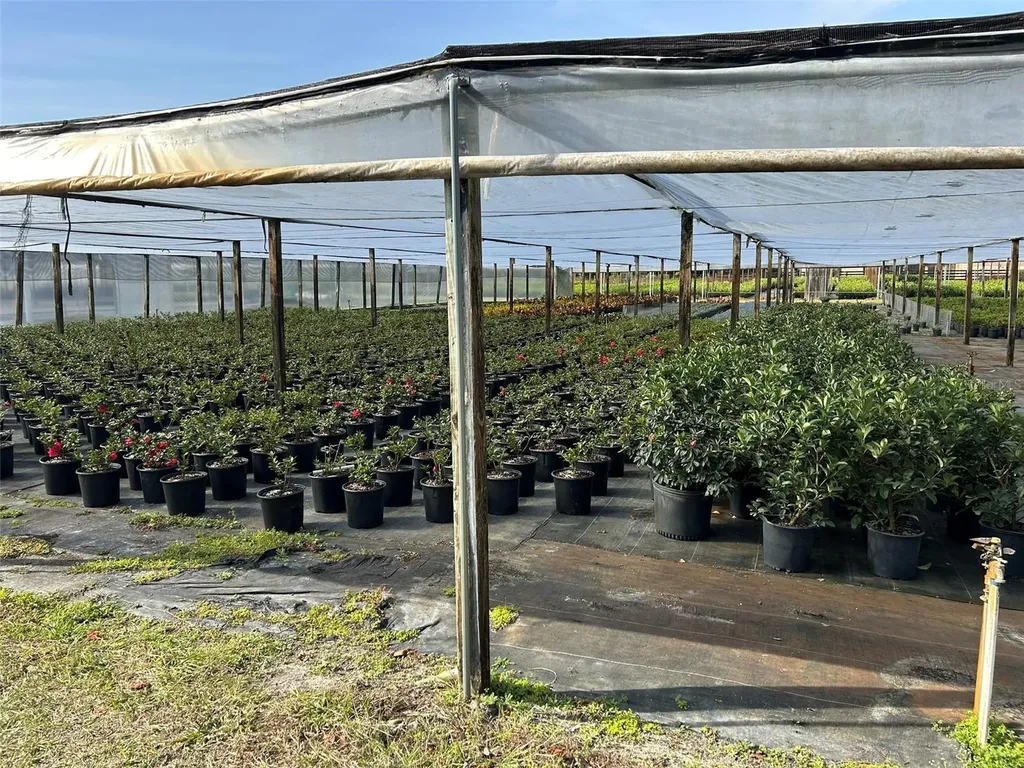 23010 Wolf Branch Road Sorrento FL 32776