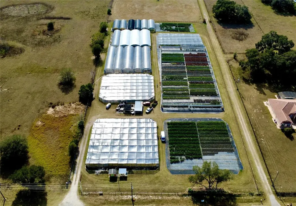23010 Wolf Branch Road Sorrento FL 32776