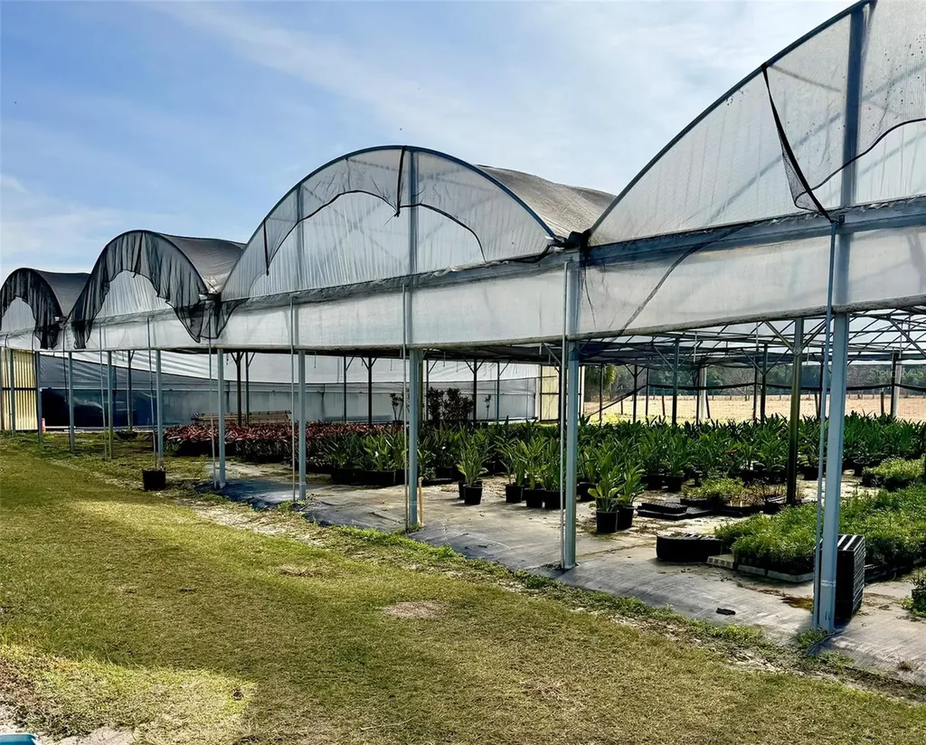23010 Wolf Branch Road Sorrento FL 32776