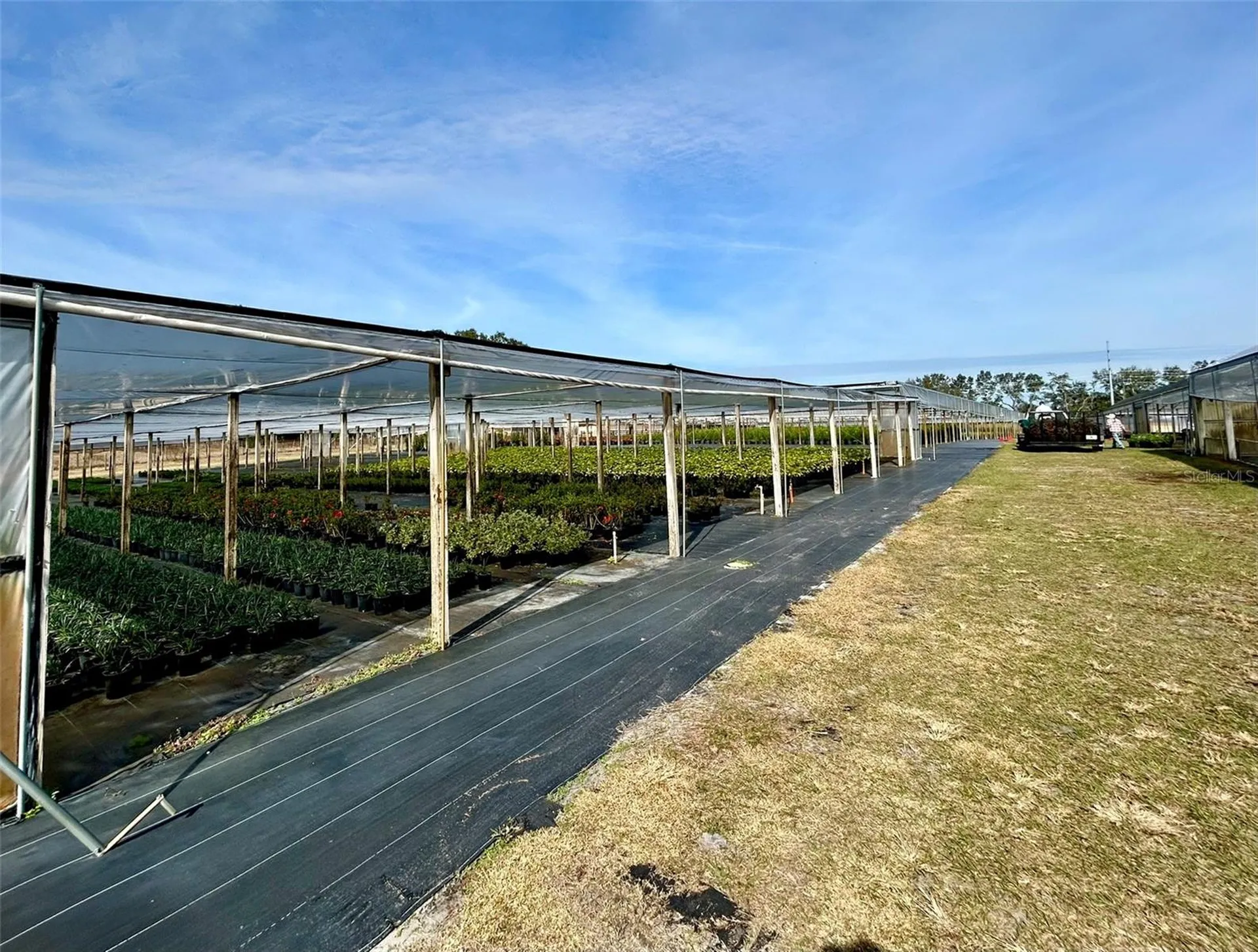 23010 Wolf Branch Road Sorrento FL 32776
