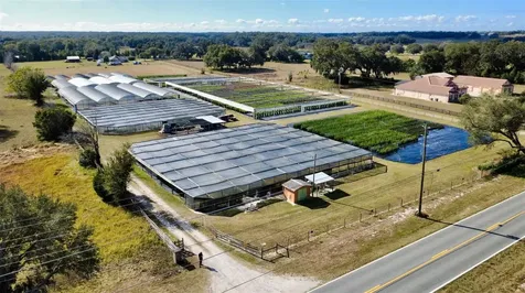 23010 Wolf Branch Road Sorrento FL 32776