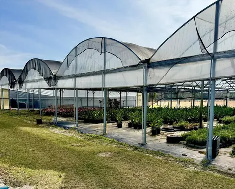 23010 Wolf Branch Road Sorrento FL 32776